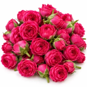 Button Rose - 100g