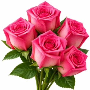 Cubar Rose - 1piece