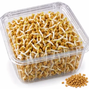 Fenugreek Sprouts - 100 g