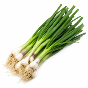 Spring Onion