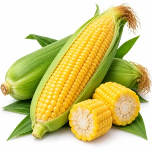 American Sweet Corn Cob - 1 piece