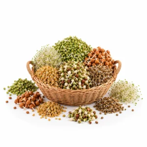 Sprouts
